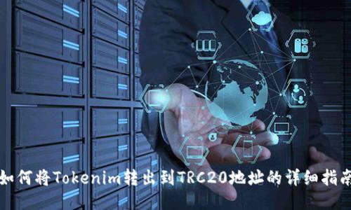 如何将Tokenim转出到TRC20地址的详细指南