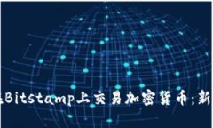 如何在Bitstamp上交易加密货币：新手指南