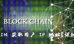 如何使用 TokenIM 获取用户 IP 地址？详细指南与最
