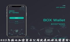 2023年国内加密货币公司发展现状及前景分析