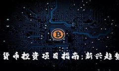 2023年加密货币投资项目指南：新兴趋势与成功案