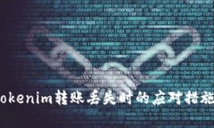 深入解析：Tokenim转账丢失时的应对措施与解决方