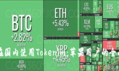 如何在国内使用Tokenim：苹果用户的全面指南