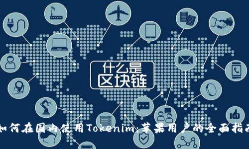 如何在国内使用Tokenim：苹果用户的全面指南