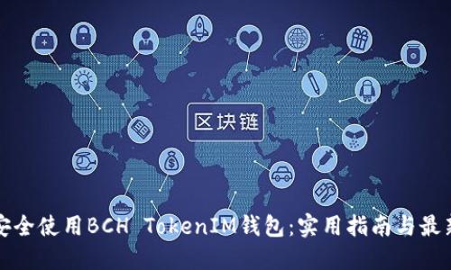 如何安全使用BCH TokenIM钱包：实用指南与最新动态