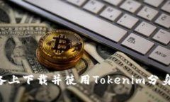 如何在安卓设备上下载并使用Tokenim分身应用：全
