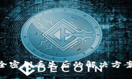 TokenIM安全密钥丢失后的解决方案及预防措施