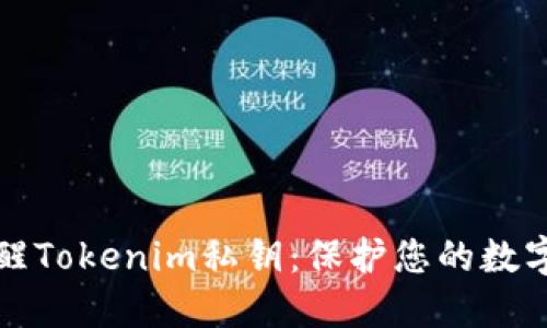 如何安全唤醒Tokenim私钥：保护您的数字资产与隐私