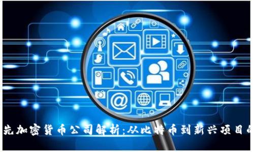 2023年领先加密货币公司解析：从比特币到新兴项目的投资机会