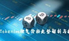 2023年Tokenim燃气价格走势解析与投资建议