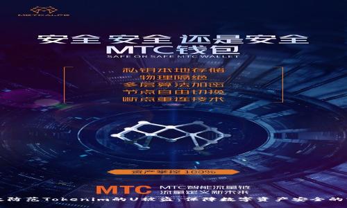 如何有效防范Tokenim的U被盗：保障数字资产安全的实用指南