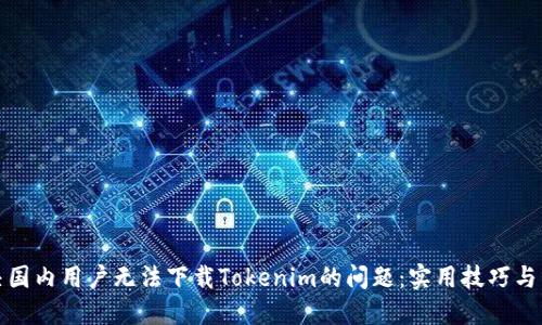 如何解决国内用户无法下载Tokenim的问题：实用技巧与替代方案