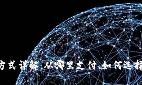 Tokenim支付方式详解：从哪里支付、如何选择最佳支付渠道