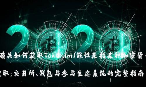 在这里，我将为您提供有关如何获取Tokenim（假设是指某种加密货币或代币）的详细指南。

### Tokenim如何获取：交易所、钱包与参与生态系统的完整指南