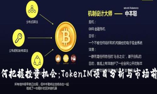 如何把握投资机会：TokenIM项目分析与市场前景