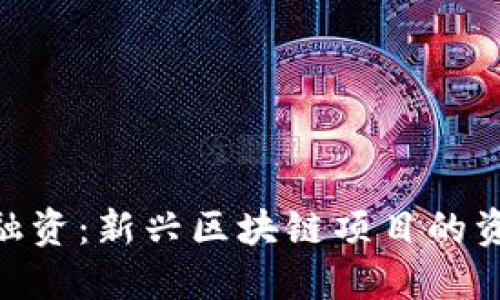 Tokenim融资：新兴区块链项目的资本助推器