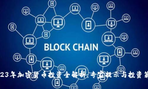 2023年加密货币投资全解析：专家提示与投资策略