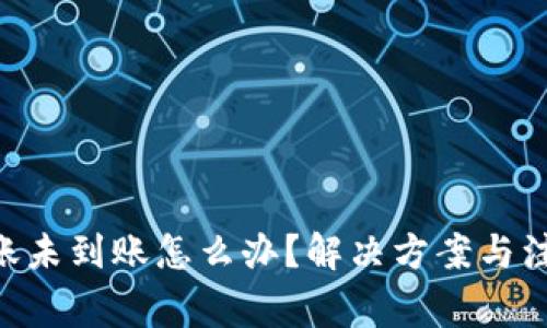 Tokenim转账未到账怎么办？解决方案与注意事项详解