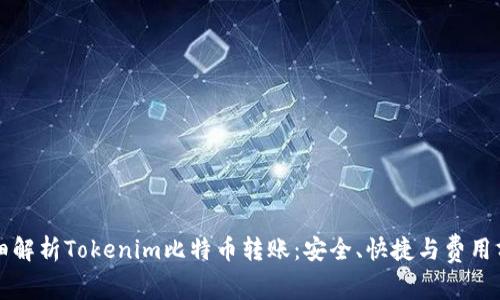 详细解析Tokenim比特币转账：安全、快捷与费用分析