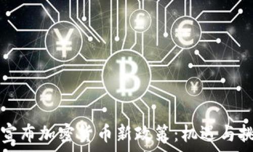   
乌克兰宣布加密货币新政策：机遇与挑战解析