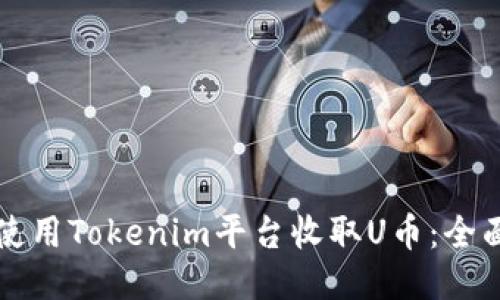 如何使用Tokenim平台收取U币:全面指南