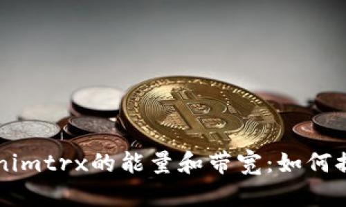 深入解析tokenimtrx的能量和带宽：如何提升区块链性能