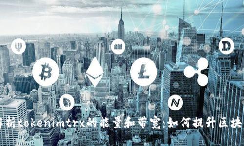 深入解析tokenimtrx的能量和带宽：如何提升区块链性能