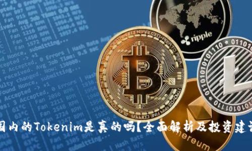 国内的Tokenim是真的吗？全面解析及投资建议
