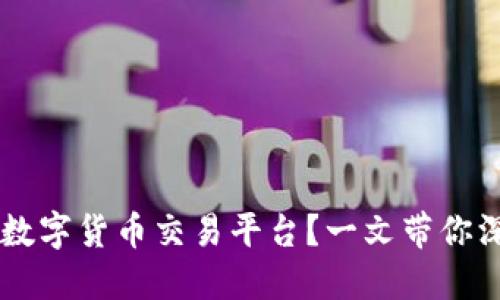 如何选择合适的数字货币交易平台？一文带你深入了解Tokenim