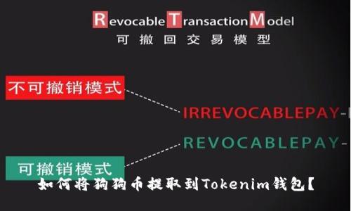 如何将狗狗币提取到Tokenim钱包？