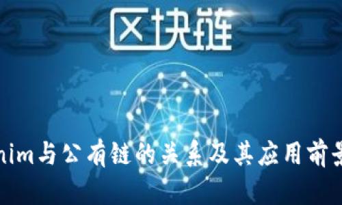Tokenim与公有链的关系及其应用前景分析