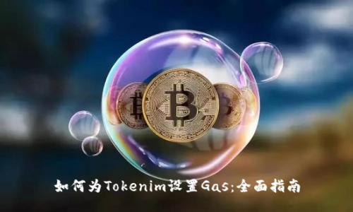 如何为Tokenim设置Gas：全面指南