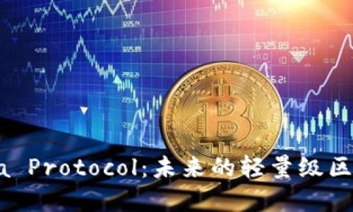 深入了解Mina Protocol：未来的轻量级区块链解决方案