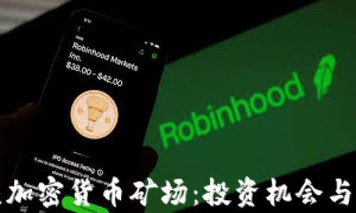 
探索新疆加密货币矿场：投资机会与风险分析