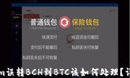 
Tokenim误转BCH到BTC该如何处理？详细指南