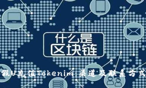 如何通过假U充值Tokenim：渠道及联系方式详细指南