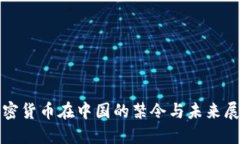 加密货币在中国的禁令与未来展望