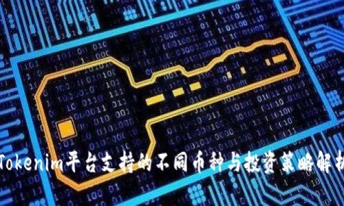 Tokenim平台支持的不同币种与投资策略解析