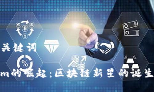 思考与关键词

Tokenim的崛起：区块链新星的诞生与发展