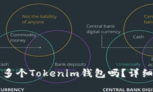 一个人可以拥有多个Tokenim钱包吗？详细解答与使用技巧