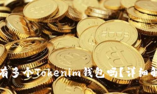 一个人可以拥有多个Tokenim钱包吗？详细解答与使用技巧