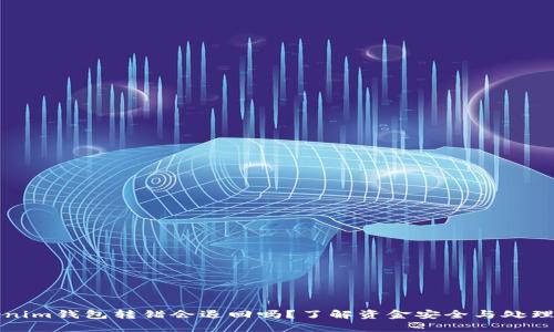 tokenim钱包转错会退回吗？了解资金安全与处理方式